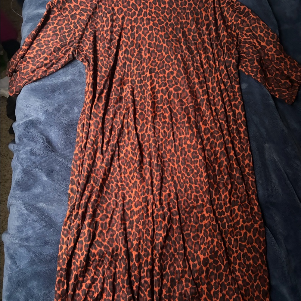 Dressed in Lala Ozzy dress (medium)